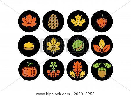 Autumn icons in modern line style. Vector illustration