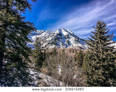 People Skiing Down A Mountain