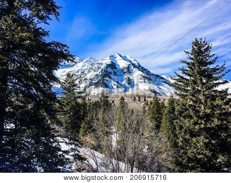 People Skiing Down A Mountain