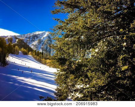 People Skiing Down A Mountain