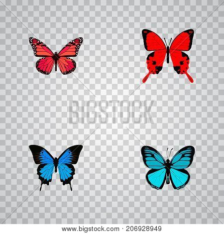 Realistic Sangaris, Azure Peacock, Common Blue And Other Vector Elements