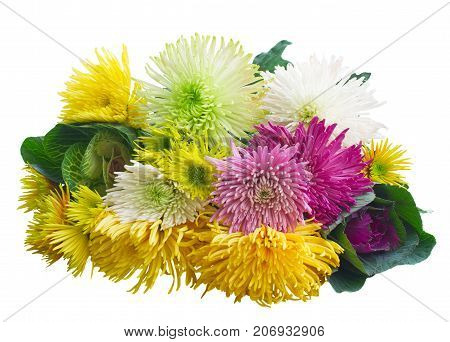 Chrisantemum fresh fall flowers and cabbage bouquet isolated on white background