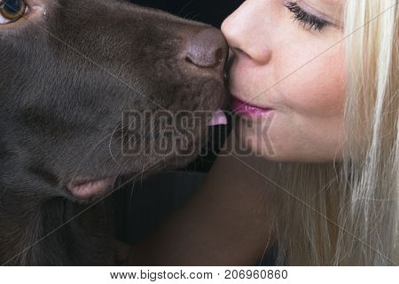 Beautiful girl kissing with Labrador Retriever. Kiss the girl and the dog. Cute Brown Labrador retriever dog kissing a woman. Dogs and woman friendship
