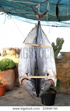 Bonito Thunfisch gesalzen getrockneter Fisch mediterranen Sarda Stil