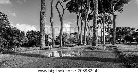 Walk And Run