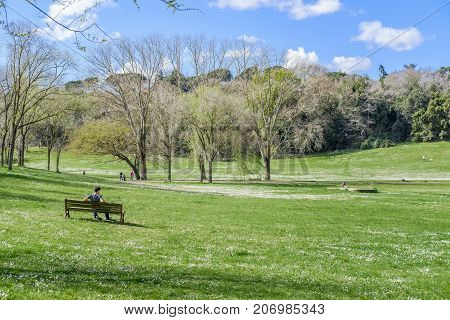 Relax On A Bench