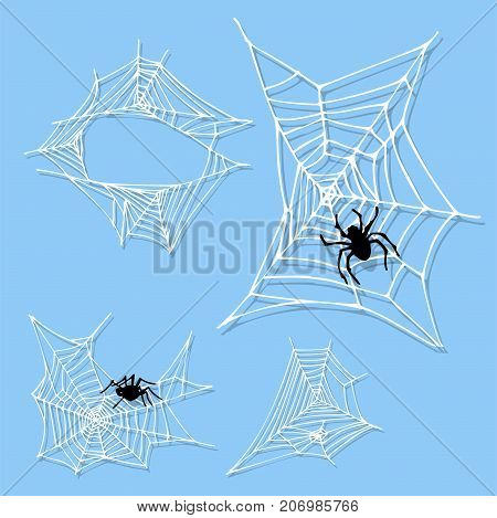 Spider web silhouette arachnid fear graphic flat scary animal poisonous design nature phobia insect danger horror tarantula halloween vector icon. Creepy warning symbol poison silhouette.
