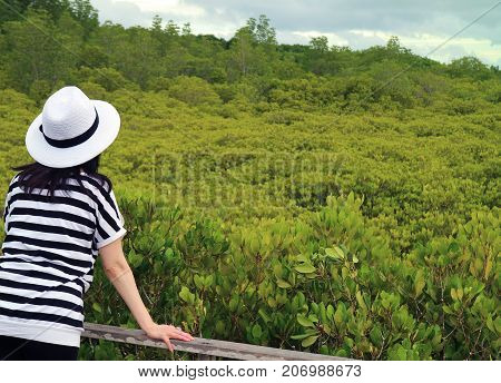 Female Admiring Vibrant Green Golden Mangrove Field in Rayong Province of Thailand