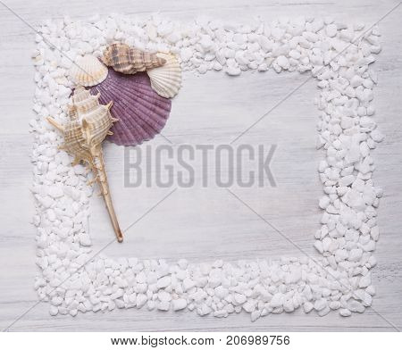 The frame of sea shells and natural white marble