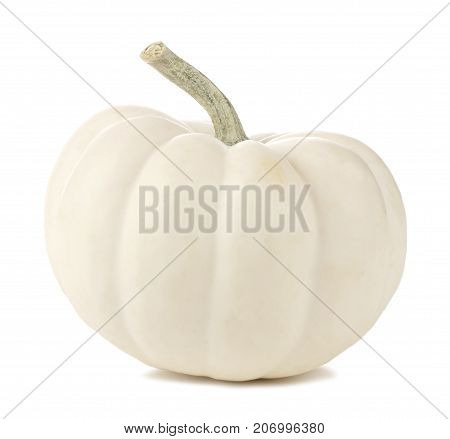 Single White Mini Pumpkin Isolated On A White Background