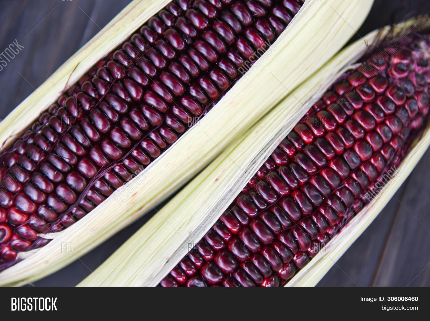 сорт кукурузы - morado. фиолетовая кукуруза сорта. пурпурная кукуруза. пурпурная кукуруза. пурпурная кукуруза.