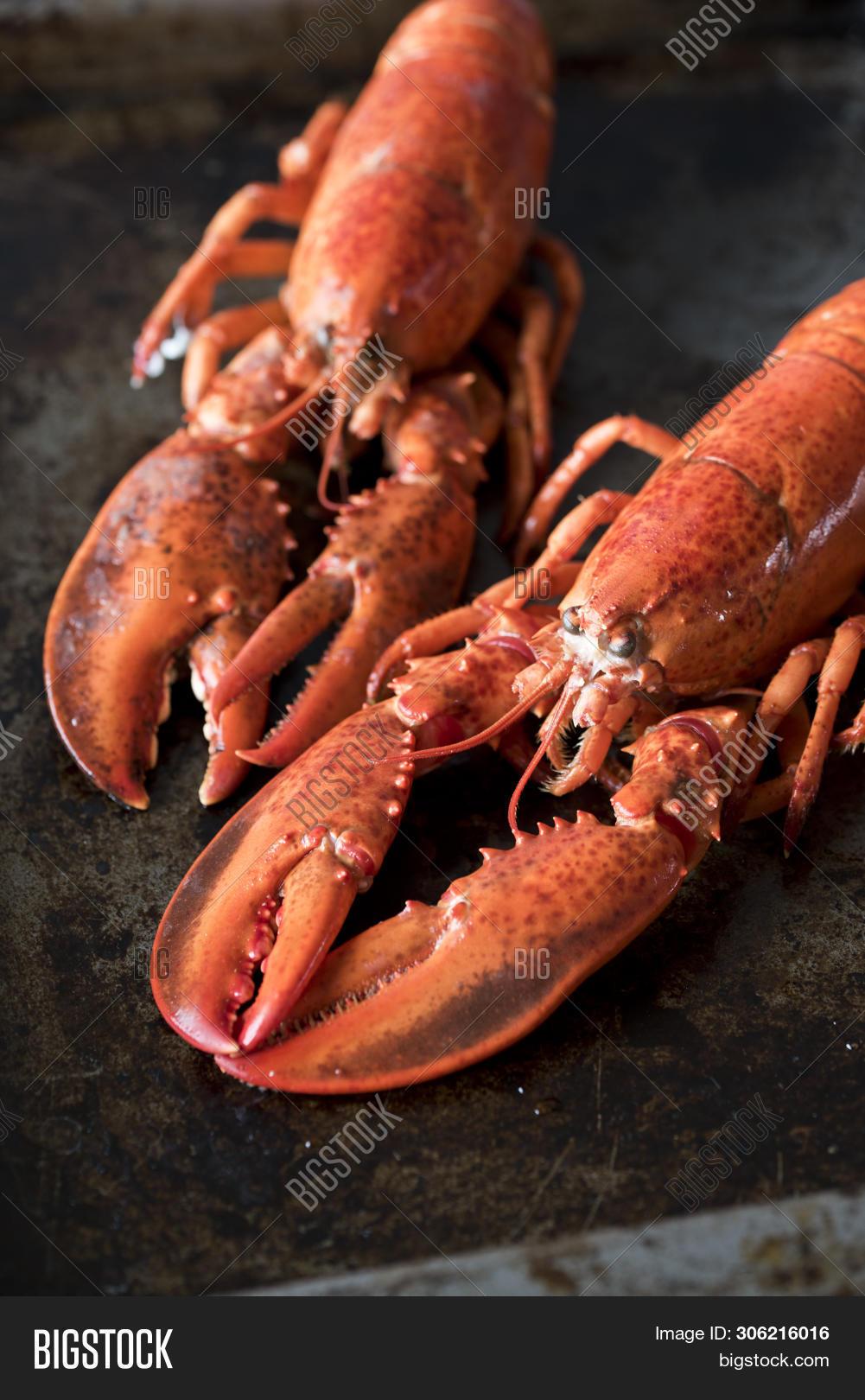 Seafood Lobsters. Image & Photo (Free Trial) Bigstock