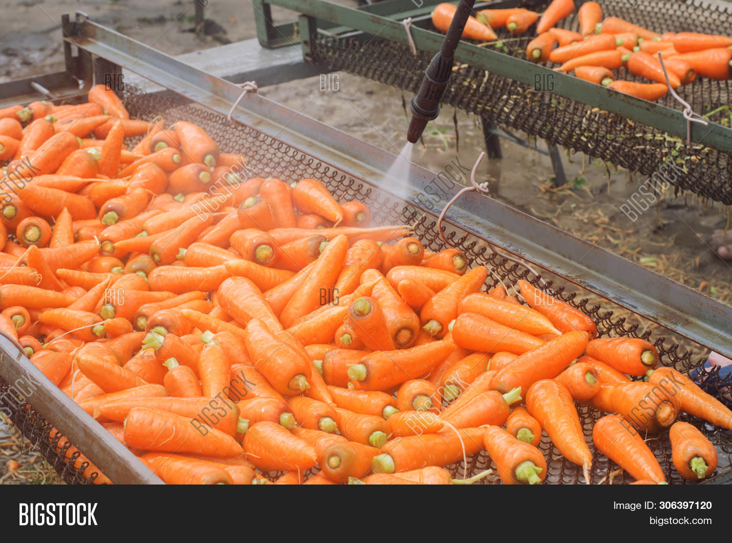 Process Cleaning Image & Photo (Free Trial) | Bigstock