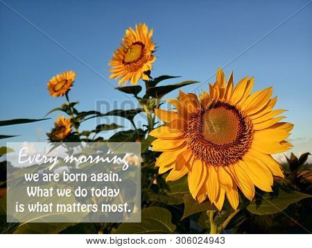 Inspirational Quote- Every Morning We Are Born Again. What We Do Today Is What Matters Most. With Be