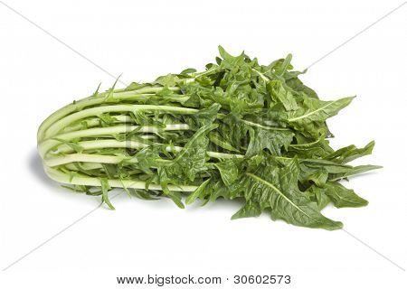 Friss Puntarelle zöldség-fehér háttér