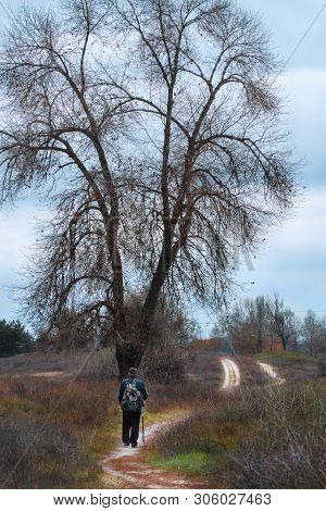 An Elderly Man With A Stick Is Walking Along The Path In Nature.