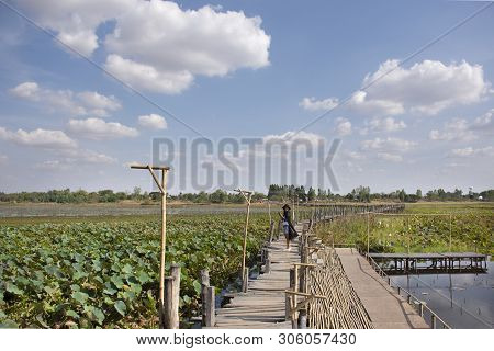 Travelers Thai Women People Travel Visit And Posing Portrait For Take Photo On Kae Dam Long Wood Bri