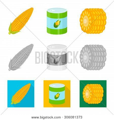 Vector Illustration Of Cornfield And Vegetable Sign. Collection Of Cornfield And Vegetarian Stock Ve