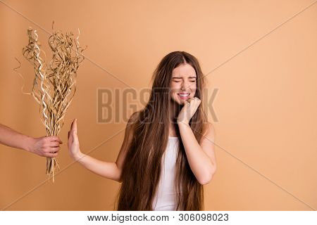 Portrait Of Her She Nice-looking Attractive Grumpy Gloomy Desperate Lady Refusing To Take Dried Flow
