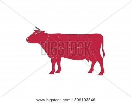Cow Chops Cuts Beef Bucher For Logo Design Illustration Vector