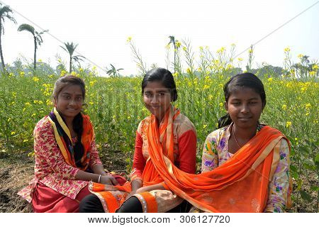 Close Up Of Three Teenage Girls Wearing Colorful Salwar Kameez Sitting In A Yellow Mustard Flower Fi