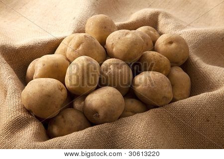 Raccolto di patate