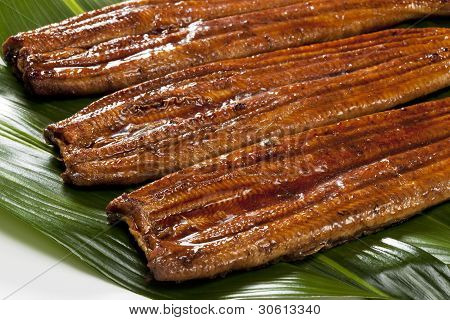 Anguilla (Unagi)