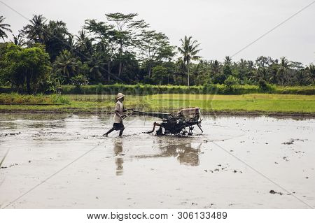 Tukad, Indonesia - January 28, 2019: Unidentified Man Plowing Wet Rice Paddy With Tilling Machine On