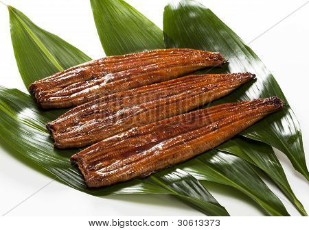Anguilla (Unagi)