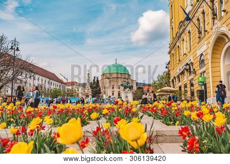 PECS, HUNGARY - MAY 2019: View on people as they pass by on the pedestrian zone in the downtown of the city May 2019 in Pecs, Hungary