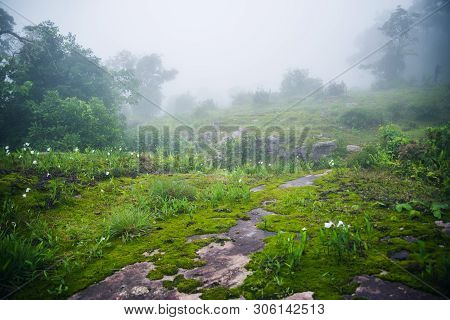Attractions At (phu Hin Rong Kla National Park) Landscape Beautiful On Mountain  Nature In The Rain