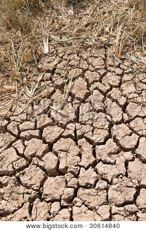 Cracked ground