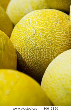 Cucumis Melo, Melone