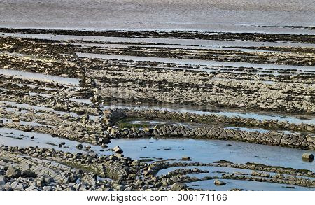 East Quantoxhead Beach In Somerset. The Limestone Pavements Date To The Jurassic Era And Are A Parad