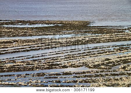 East Quantoxhead Beach In Somerset. The Limestone Pavements Date To The Jurassic Era And Are A Parad