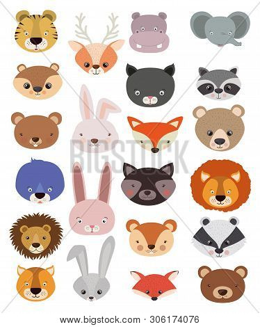 Animals Bundle In Flat Style Lion, Cat, Dog, Giraffe, Fox, Elk, Wolf, Bear, Sheep Others Vector Illu