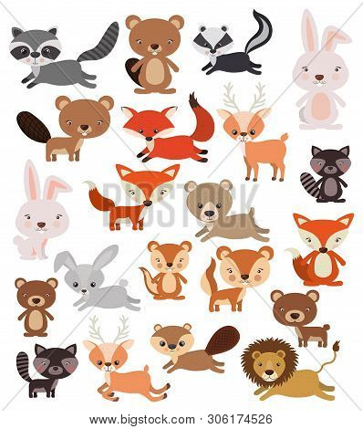 Animals Bundle In Flat Style Lion, Cat, Fox, Elk, Wolf, Rabbit, Skunk, Raccoon, Vector Illustration 