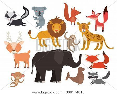 Animals Bundle In Flat Style Lion, Koala, Skunk, Seal, Monkey, Raccoon, Deer, Seal, Lazy Bear Vector