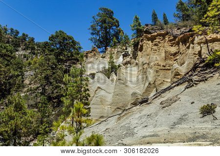 Amazing Lunar Landscape With Fantastic Rock Formations Paisaje Lunar. Canarian Pine Forest, Clear Br