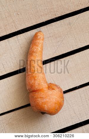 Trendy Ugly Organic Carrot On Wooden Box Background. Ugly Food, Unusual Deformed Fruits And Vegetabl
