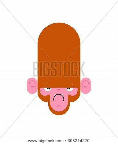 Monkey Face Angry Isolated. Gorilla Head. Vector Illustration