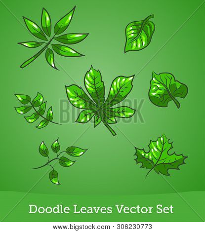 Doodle Leaves Of Trees Set Isolated On Green Background. Vector