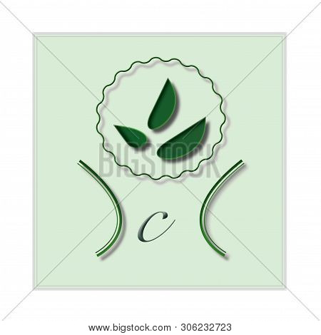The Beautiful Green Logo Design Of Natural Company