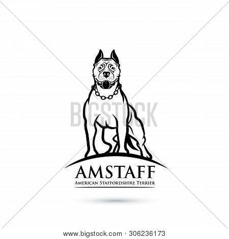 American Staffordshire Terrier Dog - Isolated Vector Illustration - Vector