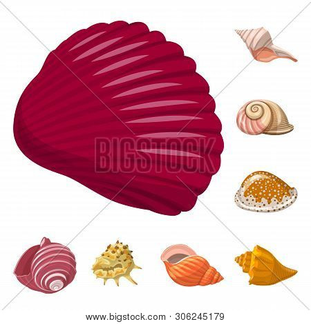 Vector Design Of Seashell And Mollusk Sign. Set Of Seashell And Seafood  Stock Symbol For Web.