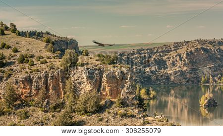 Parque Natural Hoces Duraton, Segovia, Spain - April 13, 2014: View Of The Canyon That Crosses The N