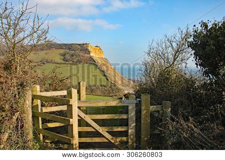 View Of The Cliffs At Salcombe Regis Beach From The South West Coastal Path On Salcombe Hill Cliff A