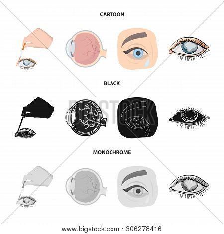 Vector Illustration Of Medical And Eyeball Sign. Collection Of Medical And Optical Stock Vector Illu