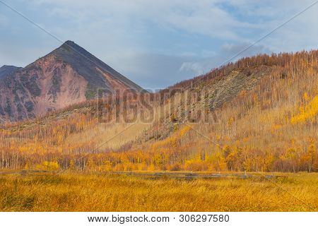 View Of The Mountain, Forest In Autumn Colors. Anavgay, Bystrinsky District, Peninsula Kamchatka, Ru