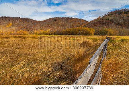 View Of The Mountain, Forest In Autumn Colors. Wooden Fence Among Tall Grass. Anavgay, Bystrinsky Di